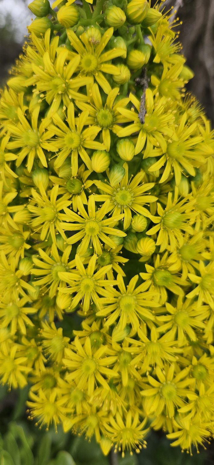 Narrowing our Perspective