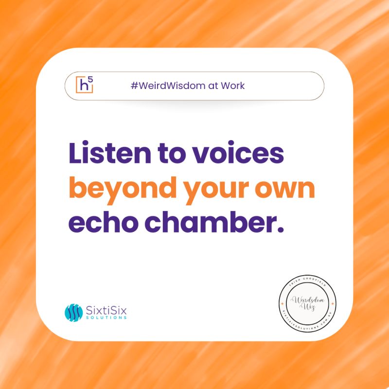 Beyond the Echo&nbsp;Chamber