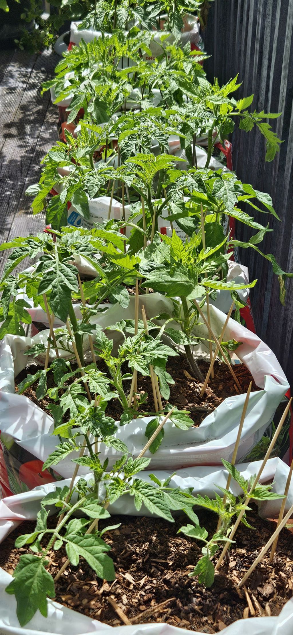 Not What I&nbsp;Planned